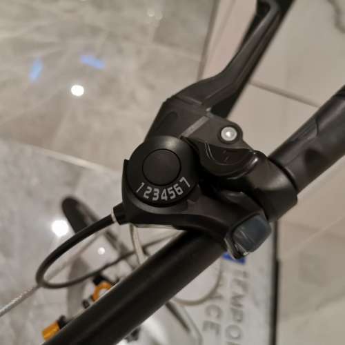 20吋 單車 摺車 新淨 (不是 Dahon 大行 , Solar)