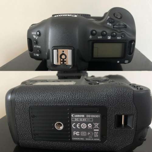Canon 1DX 旗艦機皇，好後期機，2粒原廠電 ; EF300mmL f/4 IS USM ; EF24-105mm L IS