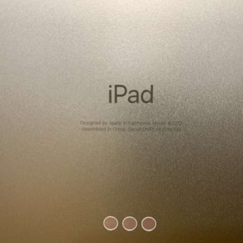 iPad Air 4 綠色 256 GB 4G+WiFi  有apple care