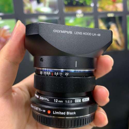 Olympus 12mm f2 限量版