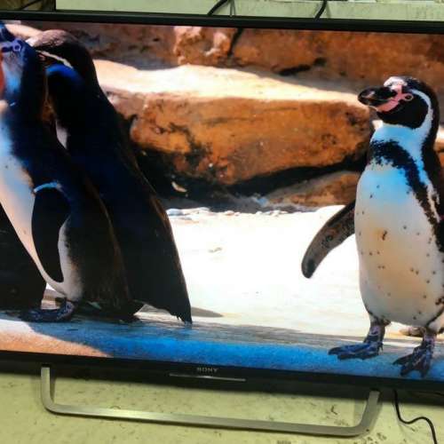Sony 49吋 49inch KD-49X7000D 4k android 智能電視 smart tv