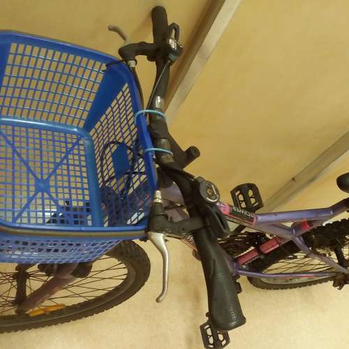 山地單車,爬山單車Mountain bike Power3 26in mountain bike,26吋,18速轉波,前避震....