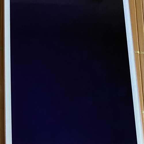 iPad mini 5 64gb wifi 金色