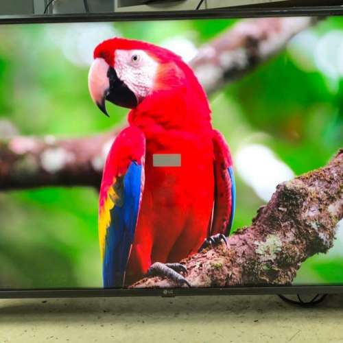 LG 43吋 43inch 43UK6500 4k 智能電視 smart tv