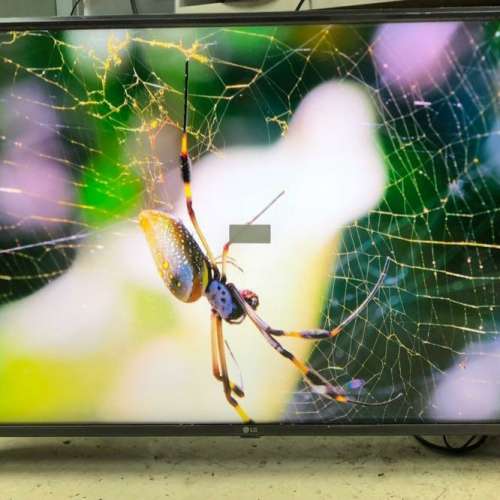 LG 43吋 43inch 43UK6500 4k 智能電視 smart tv