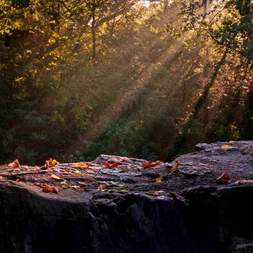 Olympus大43鏡頭三支14-45及14-54mm  附轉M43 AF接環，啱OM-D E-M1，PEN E-PL9