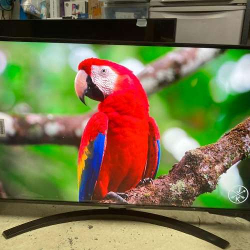 LG 43" UP8100 4K Smart TV 智能電視 (約三年原廠保養)