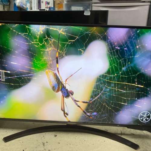 LG 43" UP8100 4K Smart TV 智能電視 (約三年原廠保養)