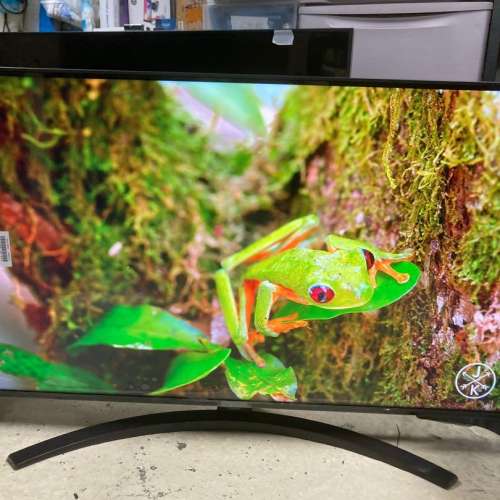 LG 43" UP8100 4K Smart TV 智能電視 (約三年原廠保養)