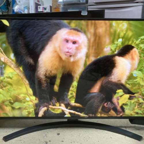 LG 43" UP7800 4K Smart TV 智能電視 (約三年原廠保養)