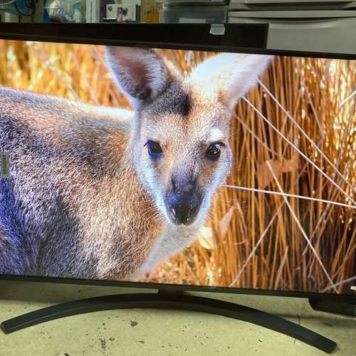 LG 43" UP7800 4K Smart TV 智能電視 (約三年原廠保養)