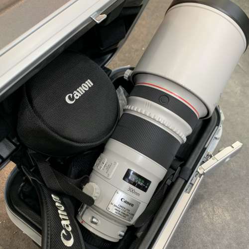 98-99% Canon EF 300mm f2.8 IS L II ver.2 328