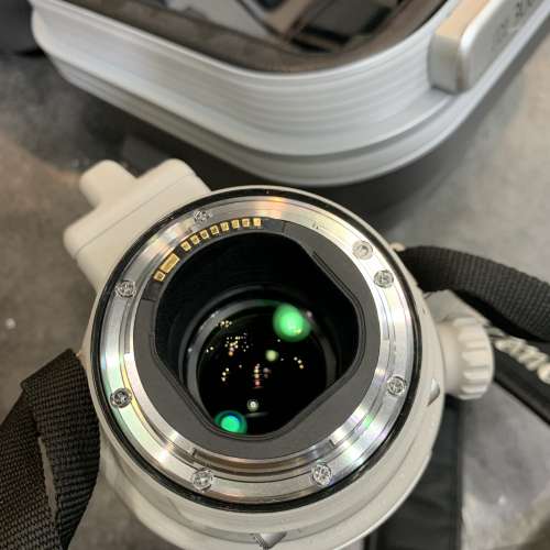 98-99% Canon EF 300mm f2.8 IS L II ver.2 328