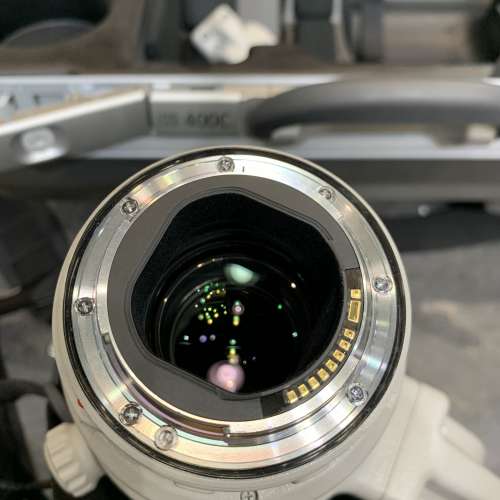 鏡皇98-99% Canon EF 400mm f2.8 L IS II ver.2 428