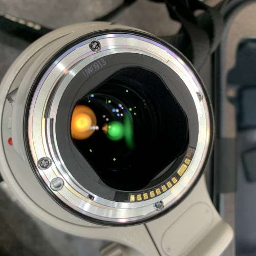 98-99% Canon EF 400mm f4 DO IS L 綠圈 484 DO