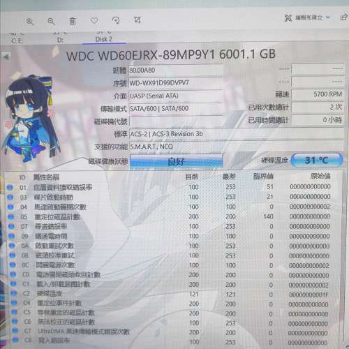 WD 6TB harddisk  2隻