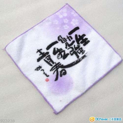 全新超細纖維方巾 手巾 手帕 小毛巾 20*20CM