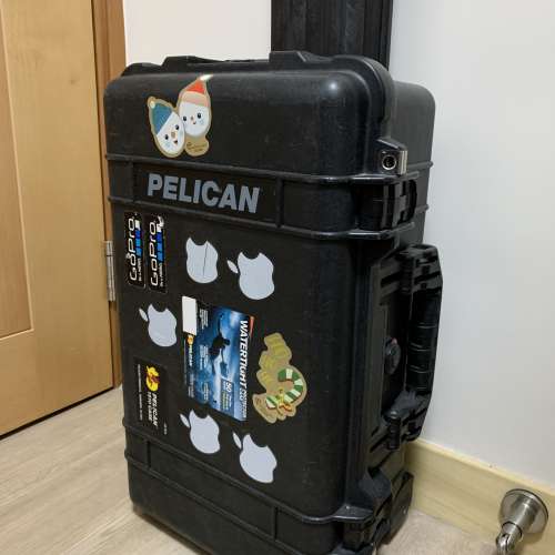 Pelican 1510 Case（黑色）