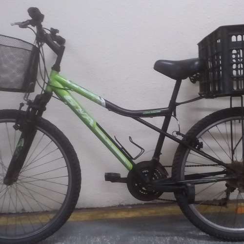 外賣單車,尾架luggage rack,前後籃2baskets,AVALANCHE takeaway mountain bike,26i...