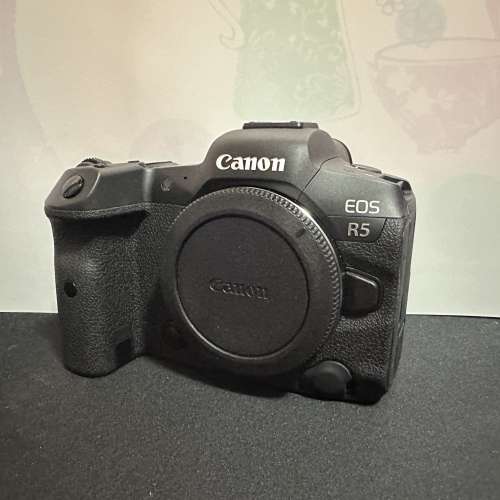 90% new Canon R5 body + 直倒