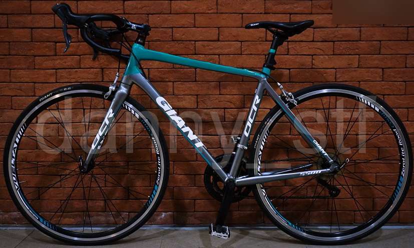 Racing Road Bike (Size M) 與SCR 