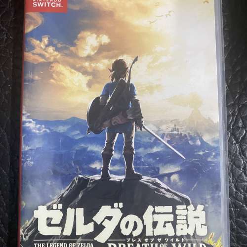 NS Switch 薩爾達傳說 曠野之息 有中文 Zelda