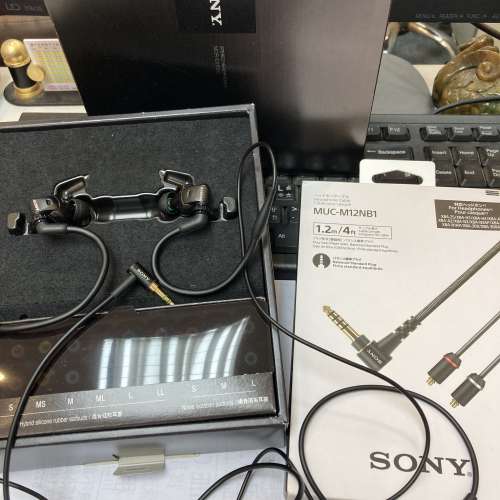 Sony MDR EX1000 EXK + MUC-M12NB1