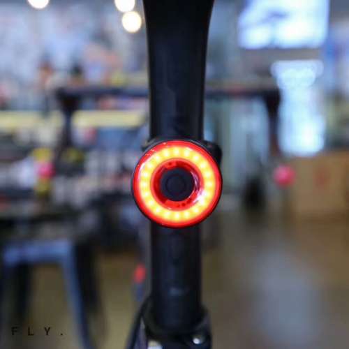 100% NEW ENFITNIX Xlite100 智能感光剎車尾燈(座墊款/座管款)