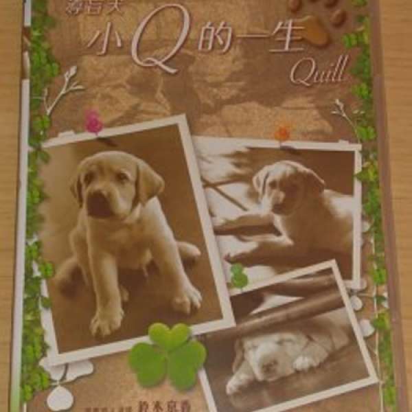 導盲犬小Q的ㄧ生QUILL DVD