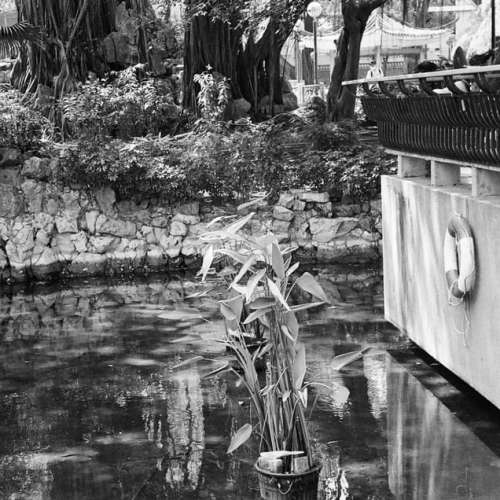 Zeiss Contax IIa w Sonnar 50 1.5 T