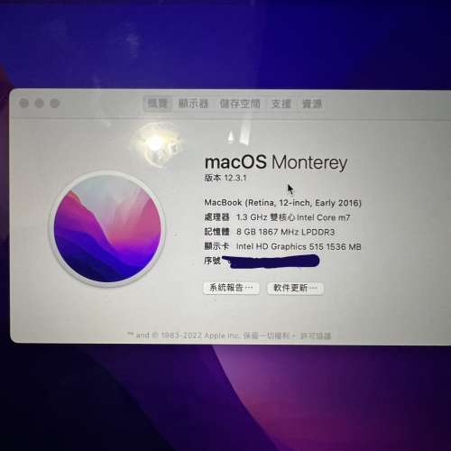 Macbook Retina 12" 超輕 2016 8GB 512GB GOLD