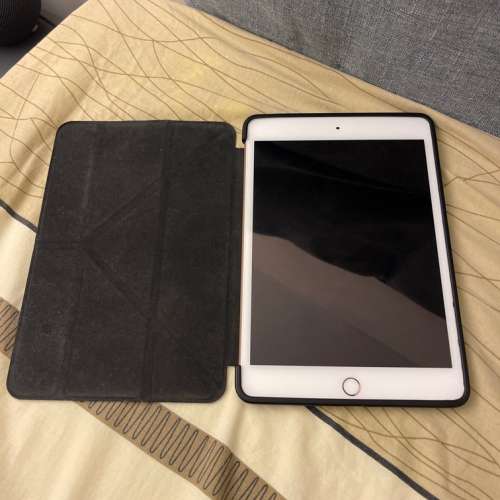 IPad mini, 5代，wifi only, 256GB, 金