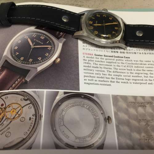 Eterna Majatek Czech Air Force