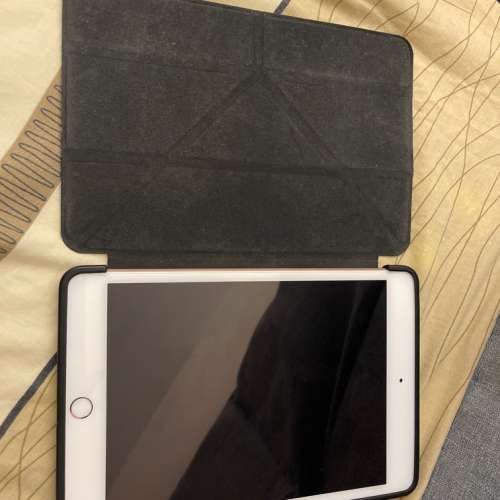 iPad mini 5th generation, 256GB, wifi version, gold