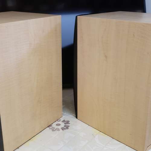 英國品牌DYNAMIC AUDlO SILVER 650 重型書架喇叭