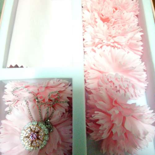 ANY Jewellery 吊咀心口針/頸鏈