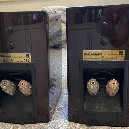 Dali Menuet SE 皇太子特別版版書架喇叭