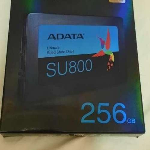 ADATA SU800 256GB(全新有盒)