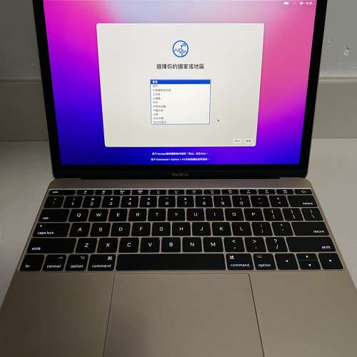 Macbook 12” 2017 256GB 金色