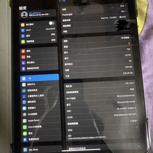 iPad Pro 12.9 256GB