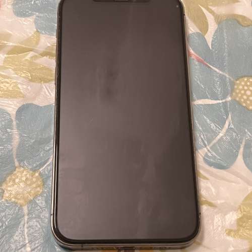 iPhone 12 Pro 256 GB (NEW BATTERY)