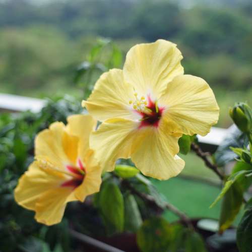 Tamron 28mm f2.8 ～M42 mount