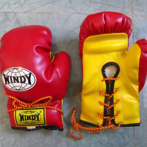 拳套 拳擊配件 boxing gloves