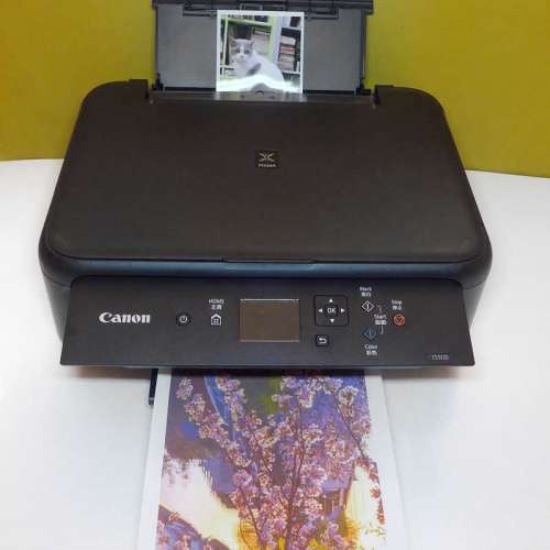 可即約交收新淨機性能良好連一套新740XL 741XL墨盒合出單copy Canon TS5170 Scan p...