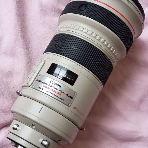 Canon EF 300mm f/2.8L IS USM
