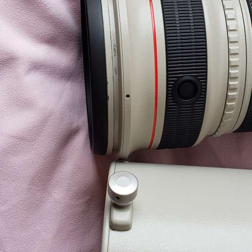 Canon EF 300mm f/2.8L IS USM