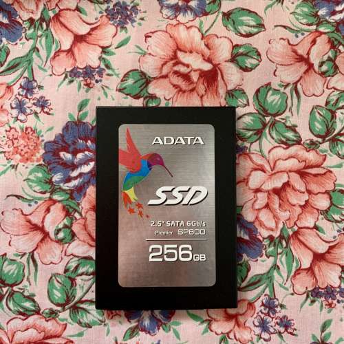 ADATA SP600 256G SSD