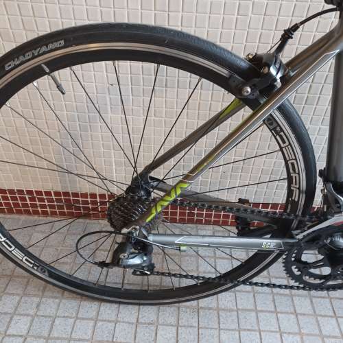 Java veloce 700c公路單車2X8槍手波速可轉47碼160-180可踩