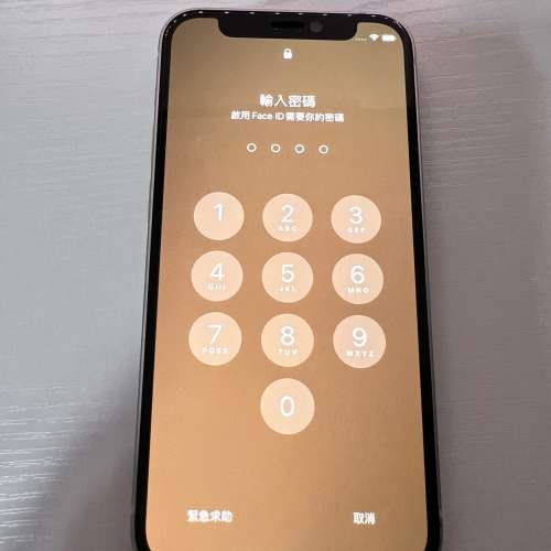 Iphone 12 mini 128G (白色)