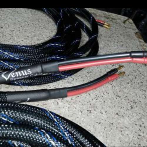 Venus speaker cable 4.9米1對 蕉頭